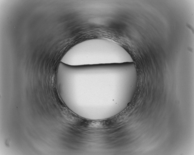 X0000094210177200710260941
