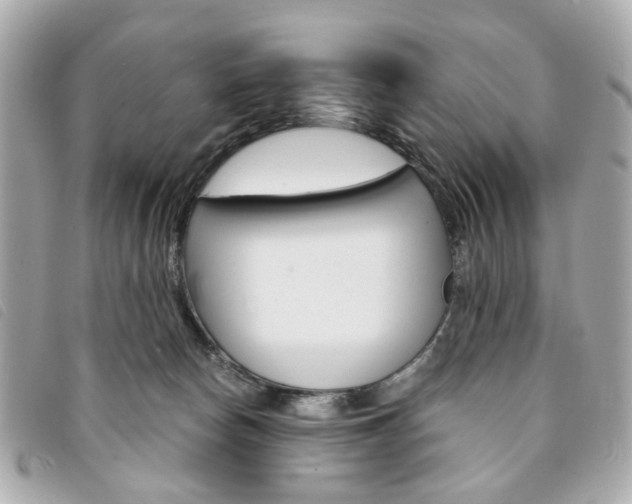 X0000094210178200710260941