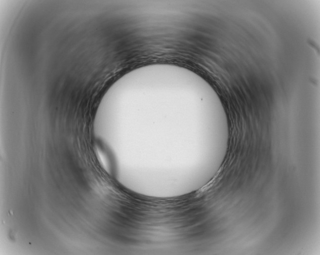 X0000094210180200710260941