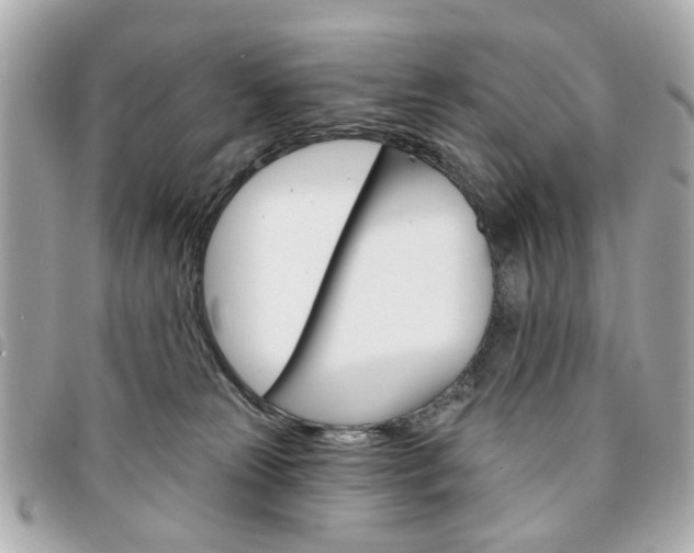 X0000094210181200710260941