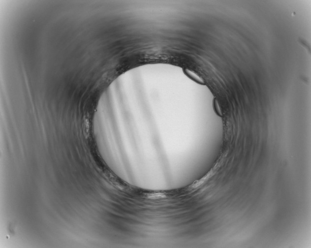 X0000094210183200710260941