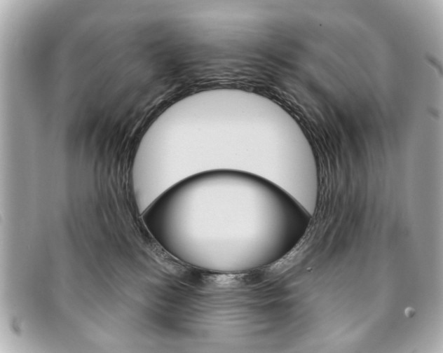 X0000094210184200710260941