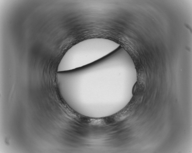 X0000094210185200710260941