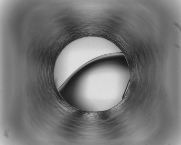 X0000094210186200710260941