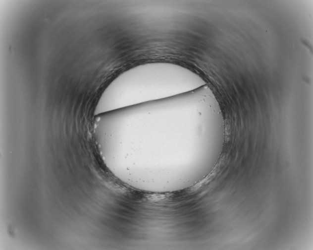 X0000094210187200710260941