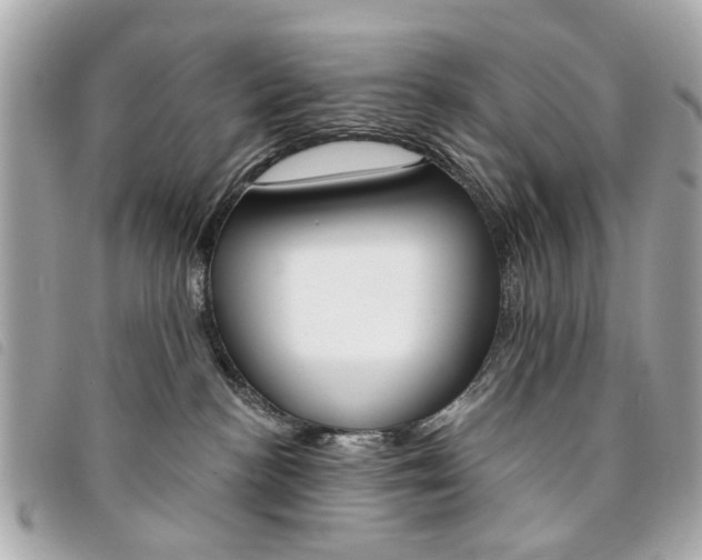 X0000094210188200710260941