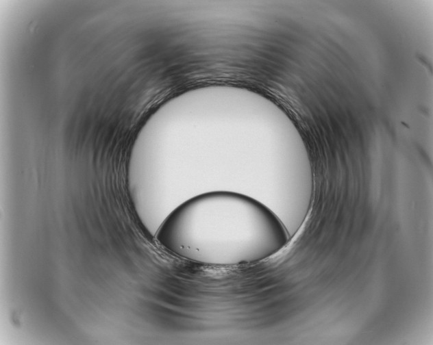 X0000094210190200710260941