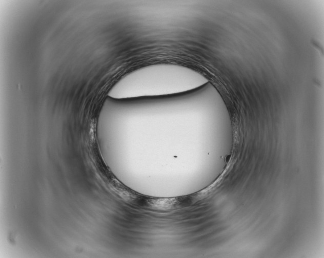 X0000094210191200710260941