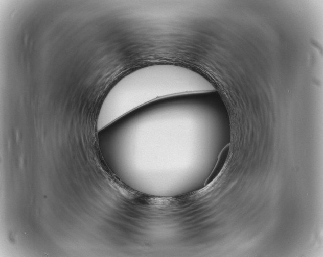 X0000094210192200710260941