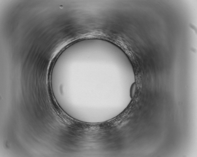 X0000094210196200710260940
