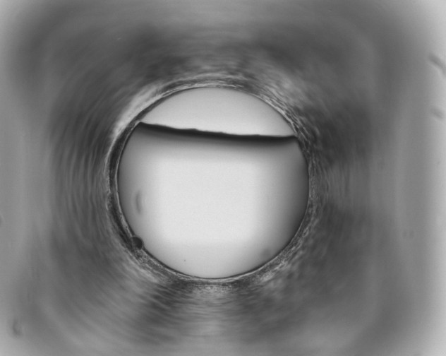 X0000094210198200710260940
