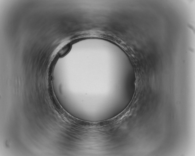 X0000094210200200710260940