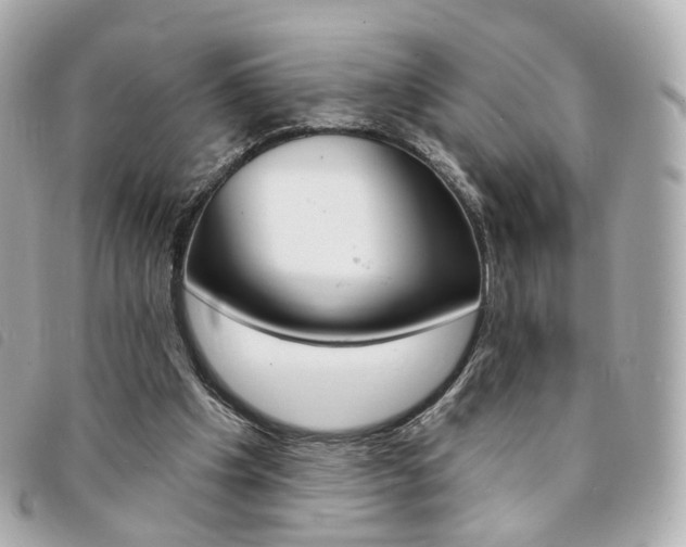 X0000094210201200710260940