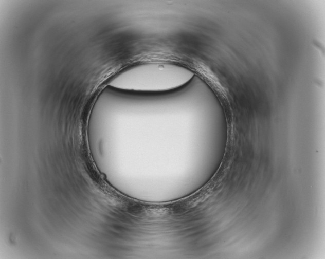 X0000094210202200710260940