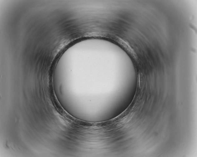 X0000094210204200710260940