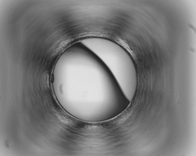 X0000094210205200710260940