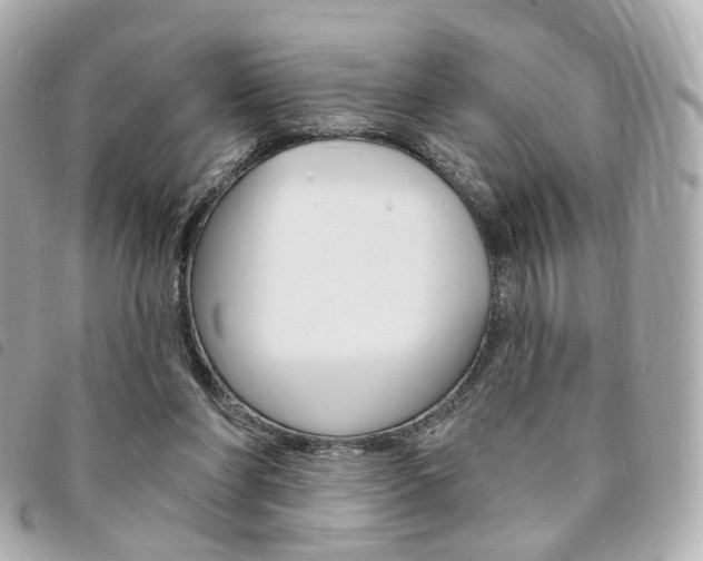 X0000094210206200710260940