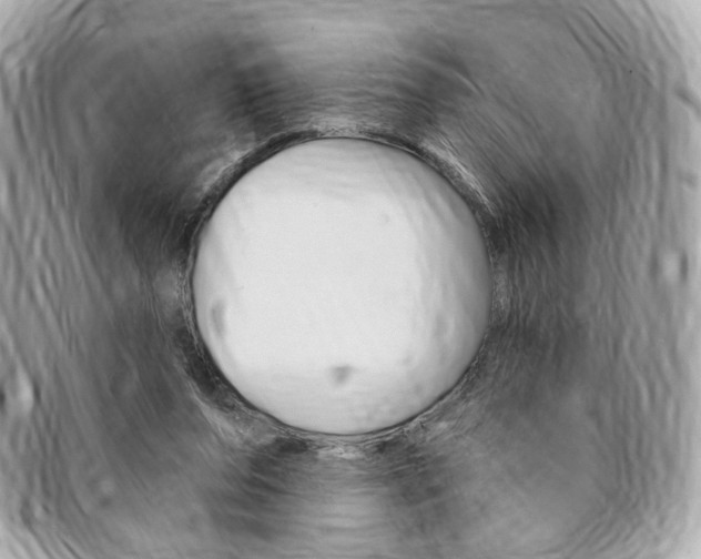 X0000094210208200710260940