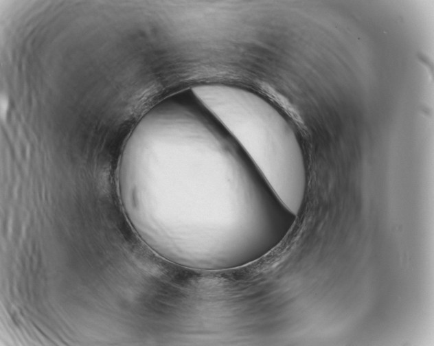 X0000094210209200710260940