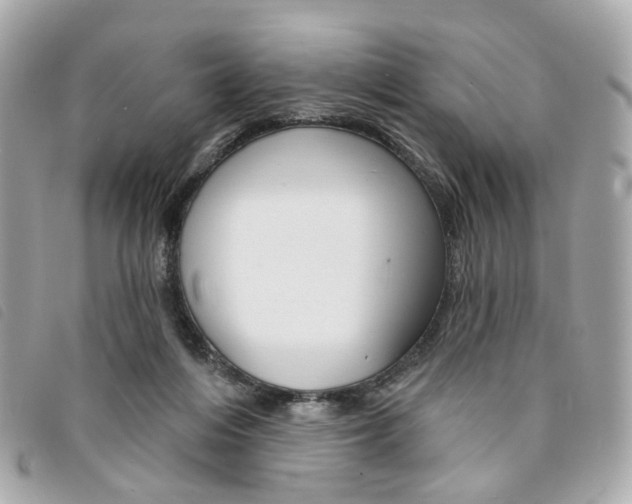 X0000094210216200710260940
