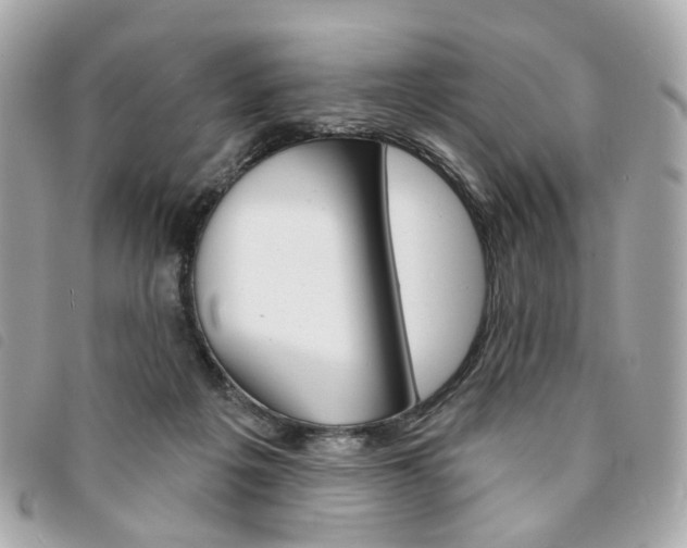 X0000094210217200710260940