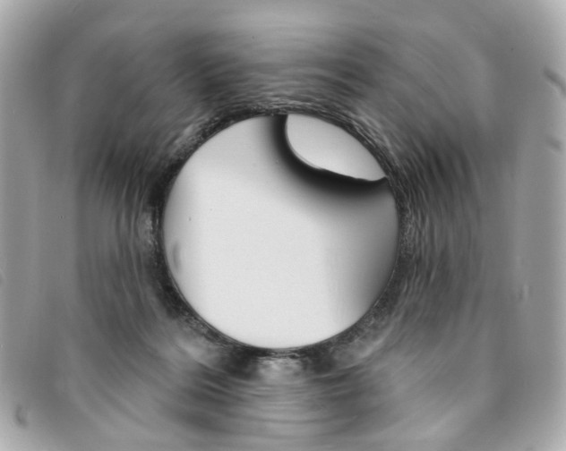 X0000094210220200710260940