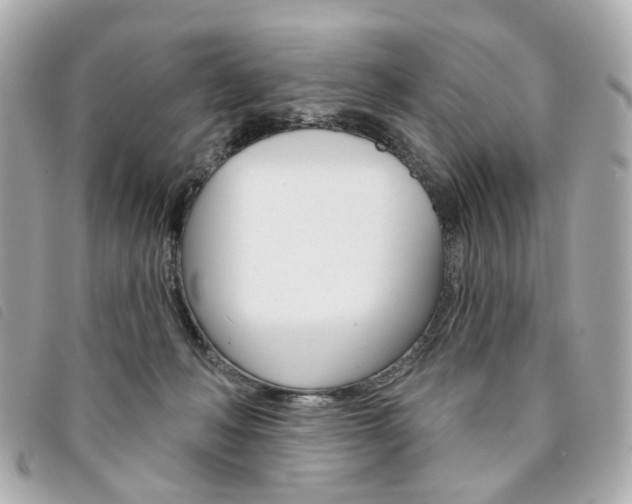 X0000094210222200710260940
