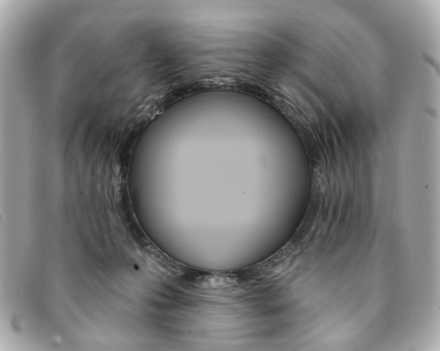 X0000094210223200710260940