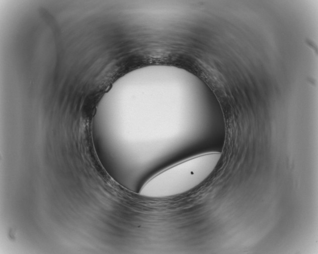 X0000094210225200710260940