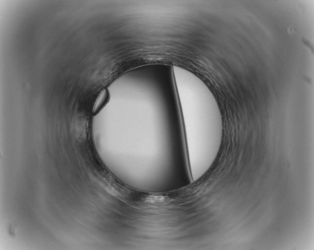 X0000094210227200710260940