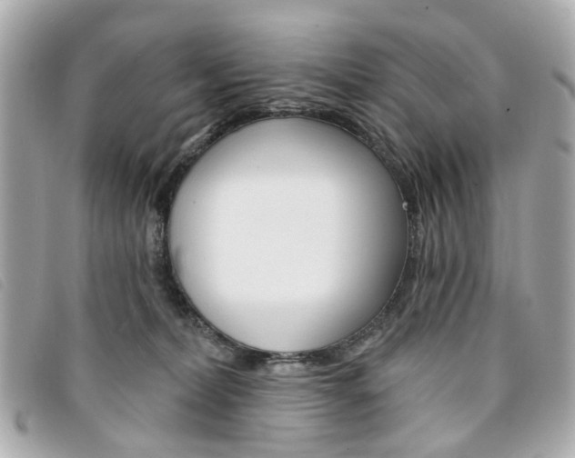 X0000094210228200710260940