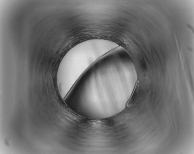 X0000094210229200710260940