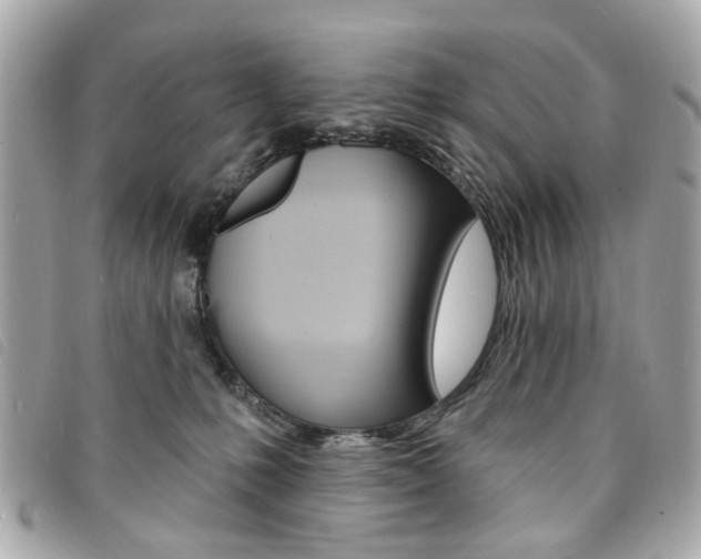 X0000094210231200710260940