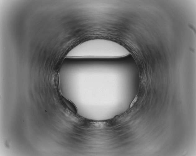 X0000094210233200710260940