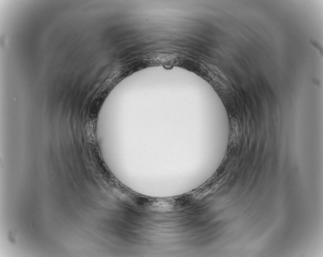 X0000094210236200710260940