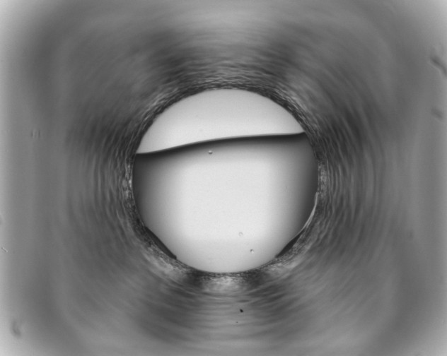 X0000094210237200710260940