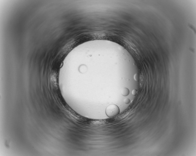 X0000094210238200710260940