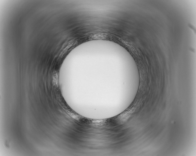 X0000094210240200710260939