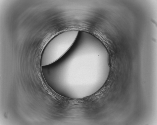 X0000094210241200710260939