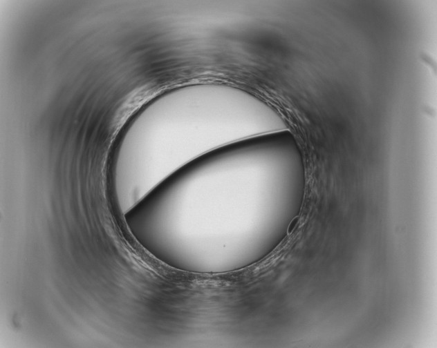 X0000094210242200710260939