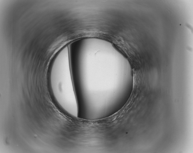 X0000094210243200710260939