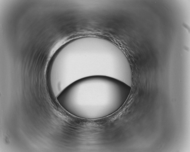 X0000094210246200710260939