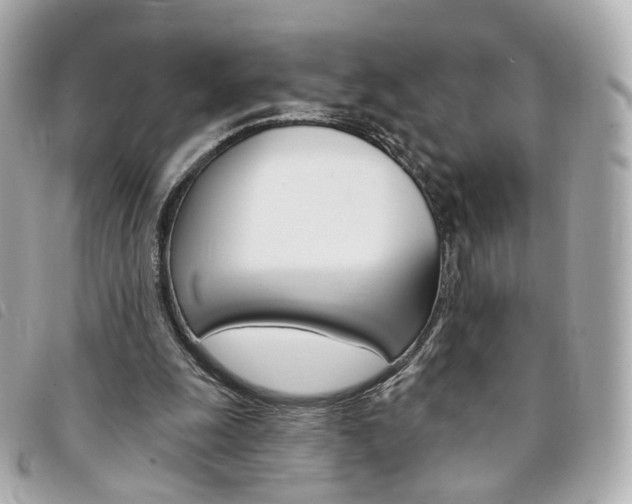X0000094210247200710260939