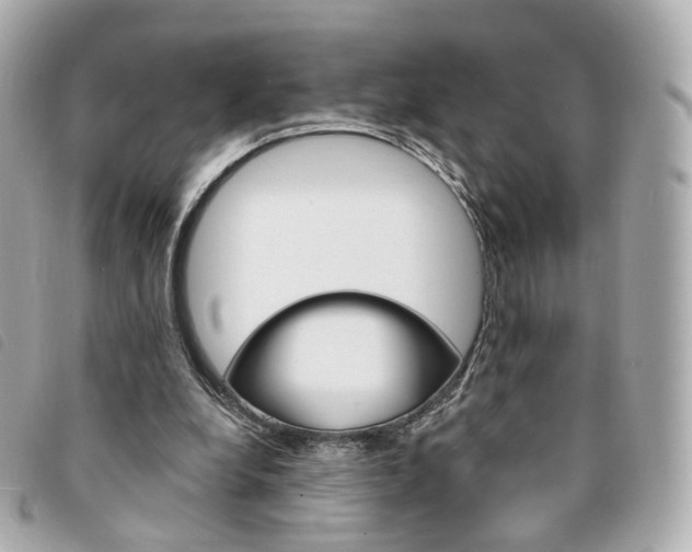 X0000094210248200710260939