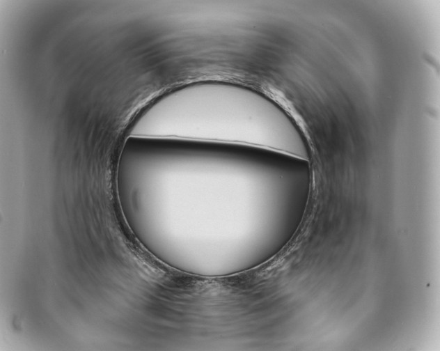 X0000094210249200710260939