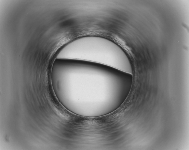 X0000094210250200710260939