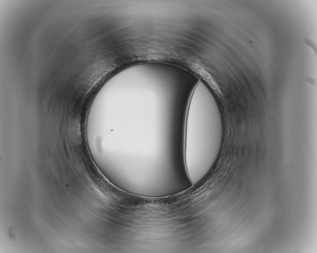 X0000094210251200710260939