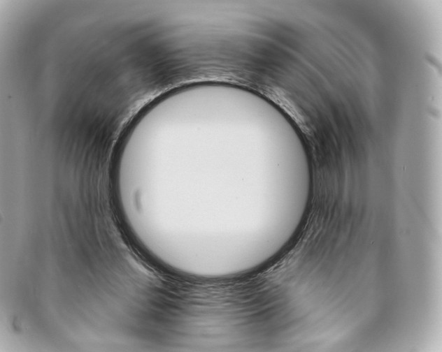 X0000094210252200710260939