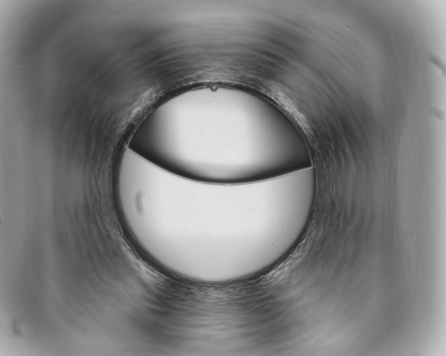 X0000094210253200710260939