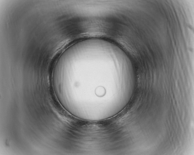 X0000094210254200710260939